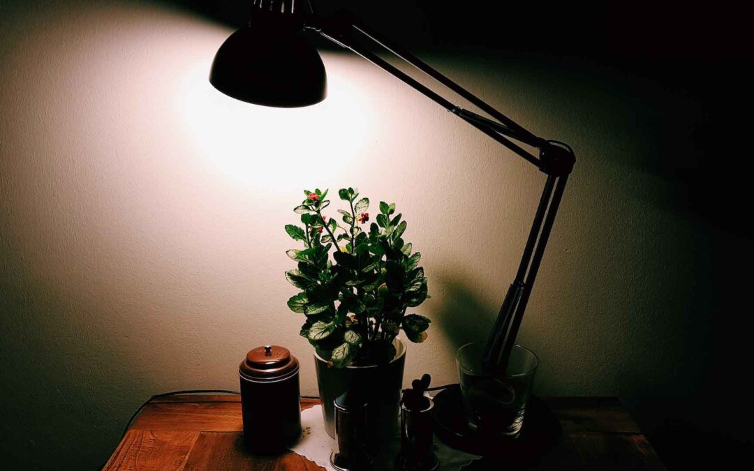 A végtelen zultság és a ketes csatta ezért lehet egyszerre jelen szangulatain.